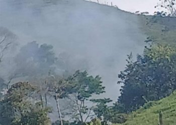 CORTE CONSTITUCIONAL TUMBA CINCO DECRETOS EN EL CATATUMBO, PERO AVALA MEDIDAS CLAVES DE SEGURIDAD Y TRABAJO