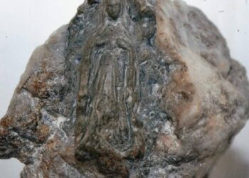 61 AÑOS DE LA APARICIÓN DE NUESTRA VIRGEN DE LA PIEDRITA. PATRONA DE CONVENCIÓN.